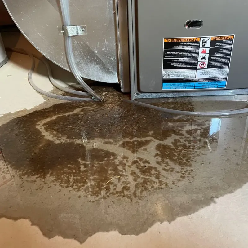 Pipe Burst and Leak Restoration in Merrimack, NH